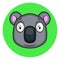 Cartoon grey koala vector illustartion