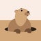 Cartoon groundhog, vector illustration, flat style, front