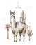 Cartoon guanaco watercolor illustrations. Cute llamas alpaca characters smiling, walking, in Peru desert landscape with