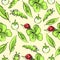 Cartoon hand drawing beetle ladybug and caterpillars, leaves and flowers of clover seamless pattern, vector background