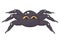 Cartoon hand drawn black spider Isolated. Cute doodle tarantula closeup. Scary exotic insect with yellow eyes. Vector flat