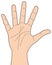 Cartoon Hand Number Five Icon