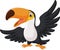 Cartoon happy bird toucan