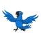 Cartoon happy blue macaw on white background