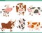 cartoon happy cows farm animal characters set