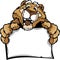 Cartoon of a Happy Cute Cougar Mascot Holding Sign