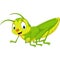 Cartoon happy grasshopper