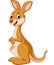 Cartoon Happy Kangaroo isolated on white background