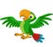 Cartoon happy parrot on white background