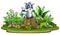 Cartoon happy racoon standing on tree stump with green plants
