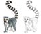 Cartoon happy scene with sketch lemur animal - illustration