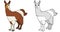 Cartoon happy scene with sketch llama animal - illustration