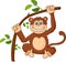 Cartoon happy smile monkey hanging