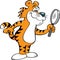 Cartoon happy tiger looking through a magnifying glass.