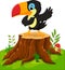 Cartoon happy toucan