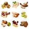 Cartoon Healthy Nuts Set