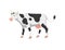 Cartoon holstein frisian breed cow for milk, dairy products and meat