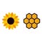 Cartoon honeycomb and sunflower
