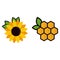 Cartoon honeycomb and sunflower with leaves