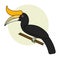 Cartoon Hornbill bird.