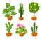 Cartoon house botanical decor potted plants. Different houseplants with green leaves, pink flowers and lemon citrus