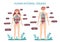 Cartoon human body anatomy. Male and female internal organs, humans physiology chart vector illustration