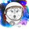 A cartoon husky in an astronaut`s space suit. Character in space. Vector illustration