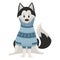 Cartoon Husky. Cute husky in a sweater. Vector illustration for kids. Puppy dog in a sweater.