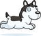 Cartoon Husky Running