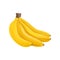 Cartoon icon of four sweet bananas. Healthy eating. Delicious tropical fruit. Design element for print, juice packaging