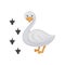 Cartoon icon of funny duck and his footprints. Water bird with orange beak and legs. Domestic animal. Flat vector design