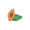 Cartoon icon of whole papaya with half, flat vector illustration isolated.