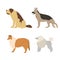 Cartoon illustration dogs breeds.