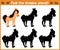 Cartoon illustration of education will find appropriate shadow silhouette animal horse. Matching game for children of presc