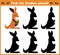 Cartoon illustration of education will find appropriate shadow silhouette animal kangaroo.