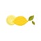 Cartoon illustration of half and whole lemon with green leaves. Sweet tropical fruit. Flat vector element for product