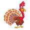 Cartoon illustration of a happy cute thanksgiving turkey character.