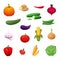 Cartoon illustration of healthy vegetables grown on a farm. A set of elements for your design. Vector Icons for signage