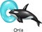 Cartoon illustration of O Letter for Orca