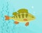 Cartoon illustration river fish swimming perch underwater