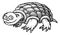 Cartoon image of turtle