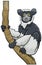 Cartoon indri comic animal character