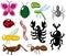 Cartoon insect icon