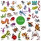Cartoon insects animal characters big set