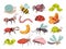 Cartoon insects. Isolated insect, children little wild bee, bug and butterfly. Fly cute wasp, gardening caterpillar and