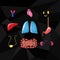 Cartoon internal organs set on the black. Lungs, heart, kidneys, liver, intestines, bladder, pancreas and gall bladder.