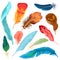 Cartoon isolated colorful nature collection with beautiful bright plumage decoration of different tropical birds, plume