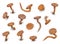 Cartoon isolated rusty bent nails and hobnails