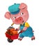 Cartoon isolated young pig in work outfit - interested - working - isolated