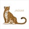 A cartoon jaguar, isolated on a white background. Animal alphabet.